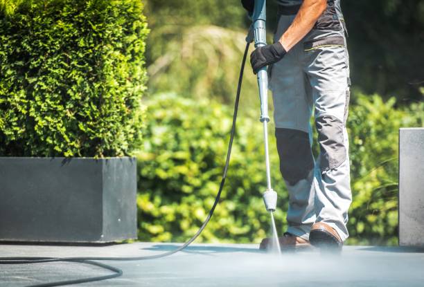 Best Patio and Deck Pressure Washing  in Lake Shore, MD